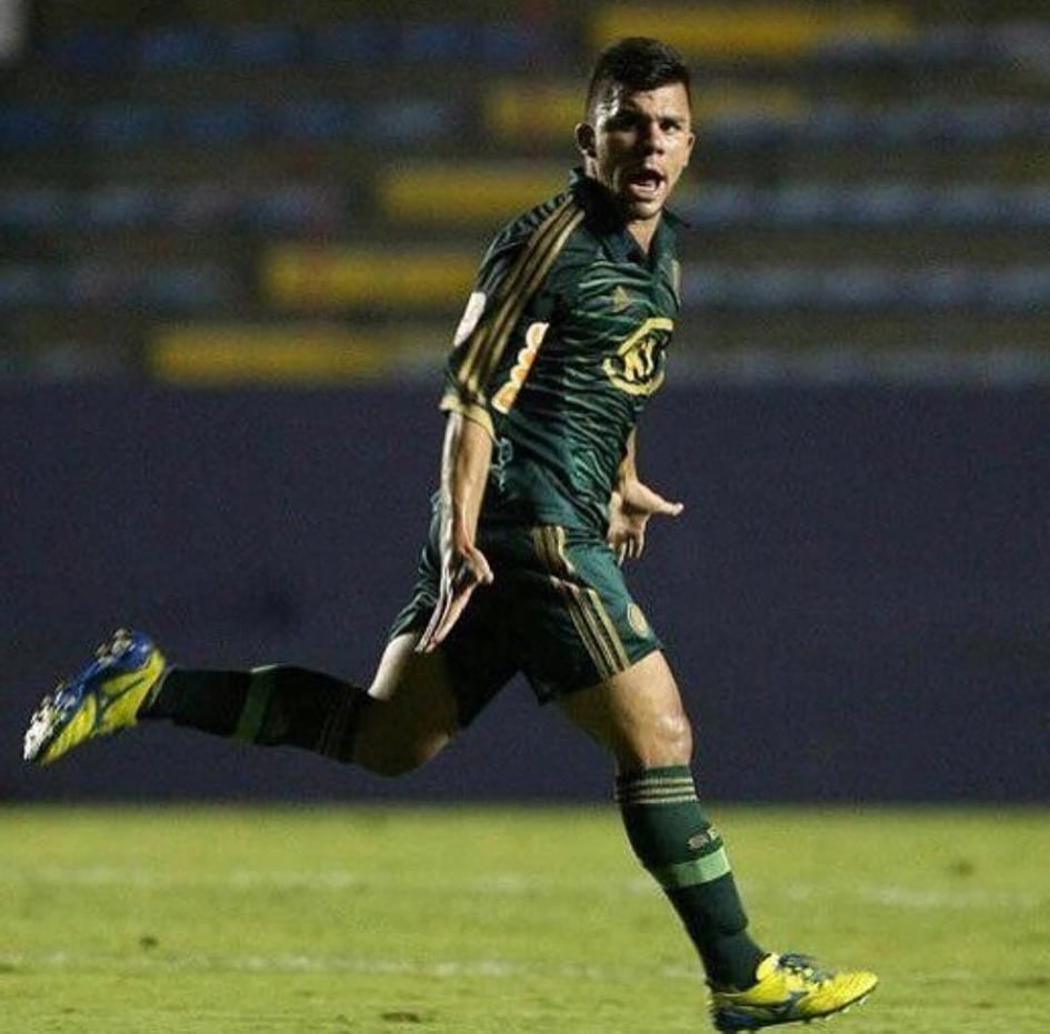 Chico - Foto 6