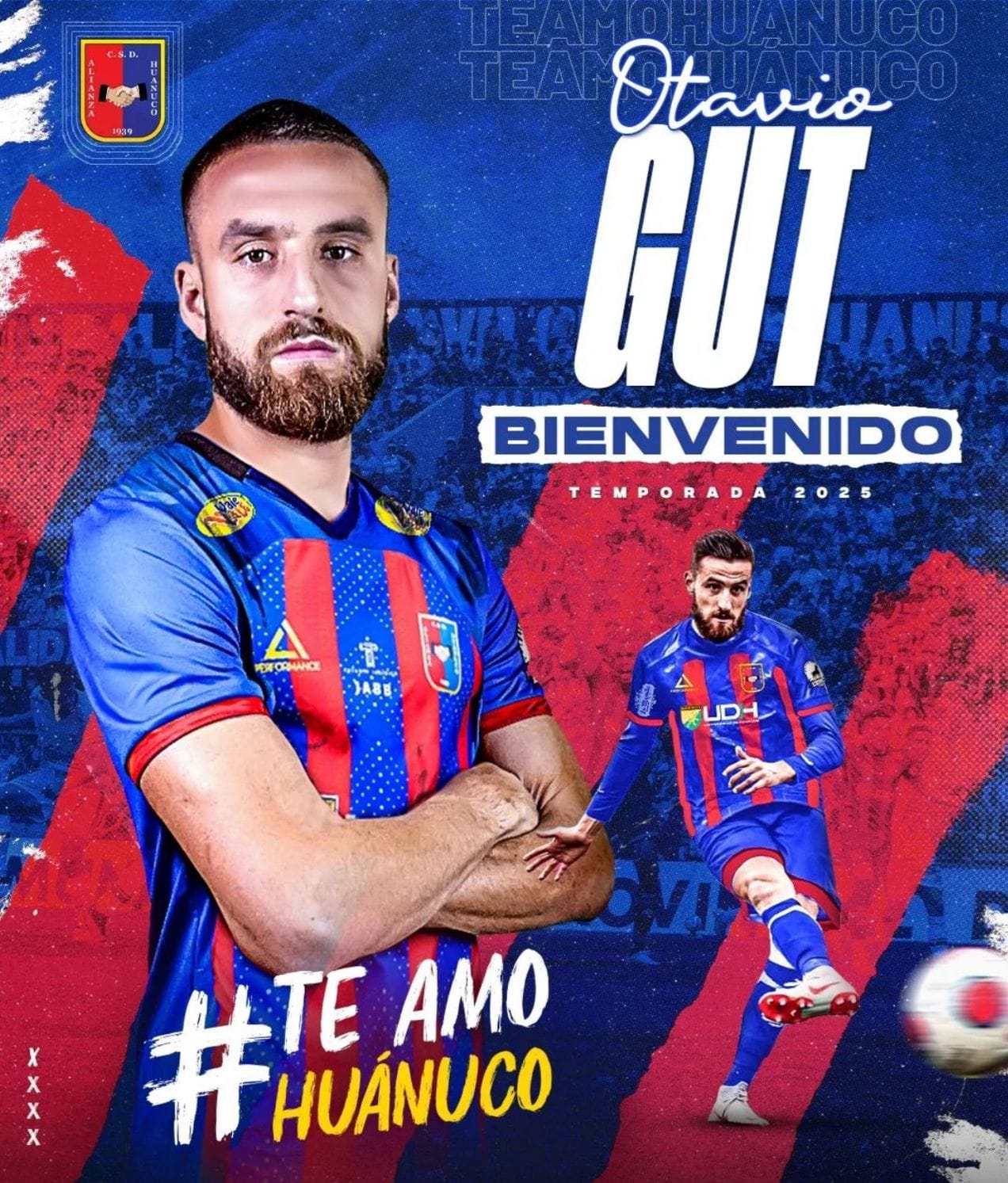 Otávio Gut - Foto 8